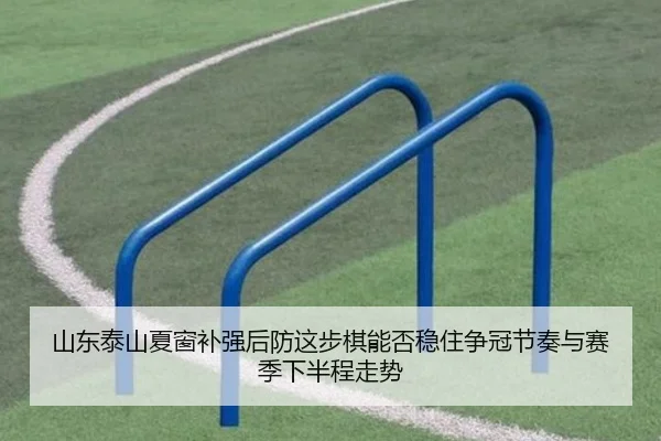 山东泰山夏窗补强后防这步棋能否稳住争冠节奏与赛季下半程走势 | kaiyun